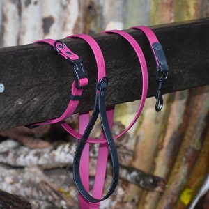 Puede incluir: Un collar y una correa para perro de color rosa con herrajes negros. El collar tiene un cierre de hebilla y la correa tiene un asa.