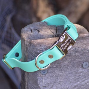 May include: A turquoise blue dog collar with a silver buckle engraved with the name "Hunter" and a phone number.