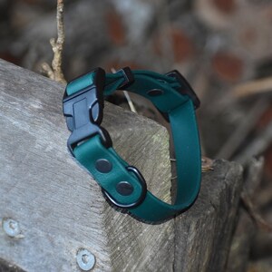 Puede incluir: Un collar para perro de color verde oscuro con una hebilla negra y un anillo en D de metal negro. El collar est&aacute; hecho de un material duradero y resistente al agua.