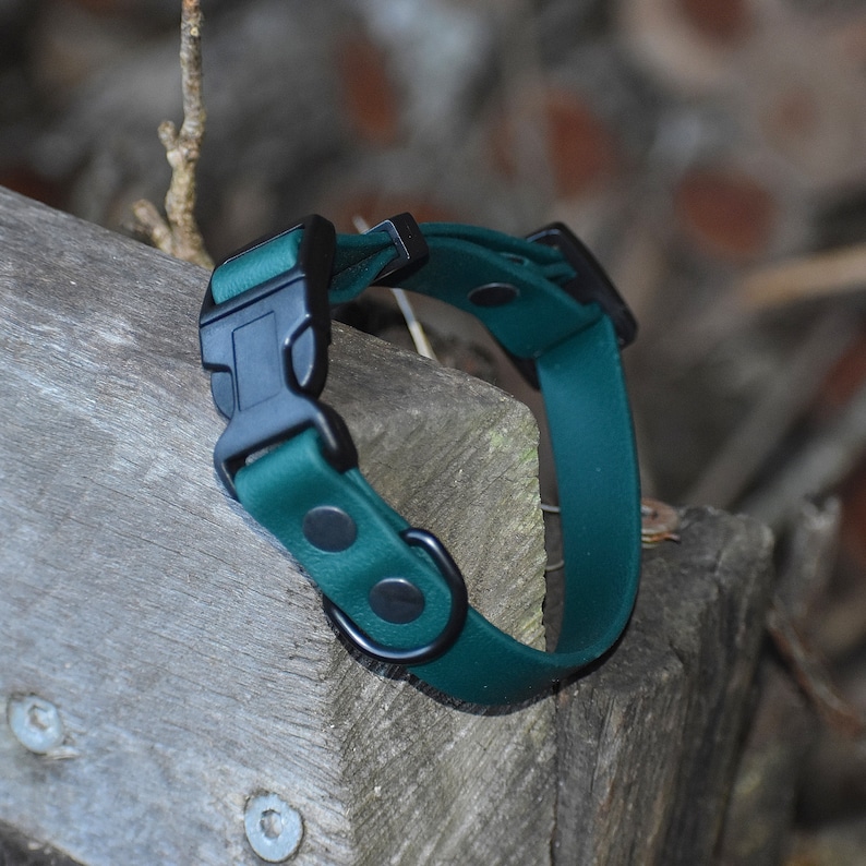 Puede incluir: Un collar para perro de color verde oscuro con una hebilla negra y un anillo en D de metal negro. El collar est&aacute; hecho de un material duradero y resistente al agua.