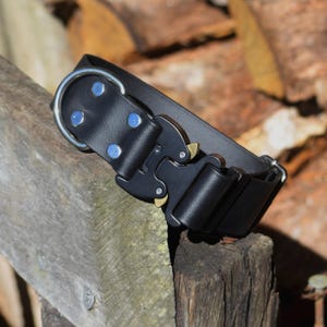 1.5&quot; Biothane Cobra® Collar