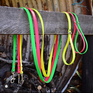 Biothane Leash 5/8"
