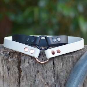 Op de afbeelding: Twee leren halsbanden met metalen ringen. De bovenste halsband is zwart met zwarte metalen ringen en de onderste halsband is wit met roségouden metalen ringen.