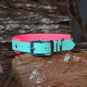 May include: A turquoise and pink dog collar with a silver buckle and a silver D-ring.