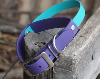 Puede incluir: Un collar para perro morado y turquesa con una hebilla plateada. El collar está hecho de un material duradero e impermeable.