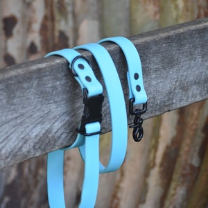 1" Biothane Leash With Quick Release Buckle