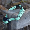 BioThane® eCollar Strap 3/4"with quick release buckle product logo