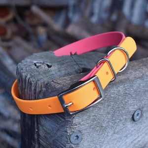 May include: Orange and pink dog collar with a silver buckle and D-ring.