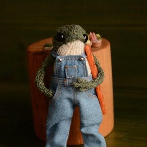 Knitted frog with overalls. Famous frog from tik tok Made to order