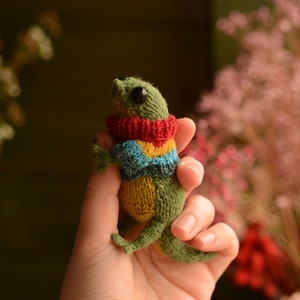 Knitted lizard with a sweater and boots