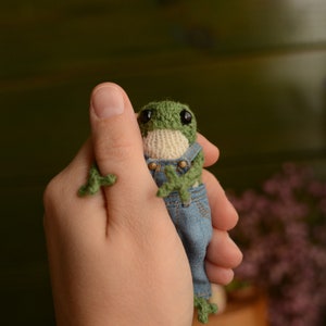 Knitted frog in overalls. Made to order