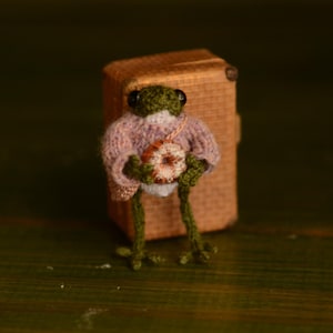 Micro-knitted frog with a sweater 4 cm Handmade Adorable Little Frog Toy