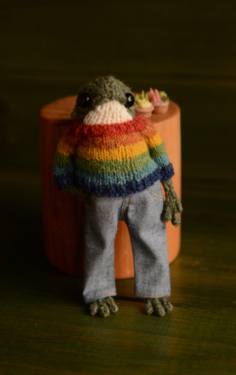Knitted frog with a sweater and jeans. Famous frog from tik tok Made to order image 3