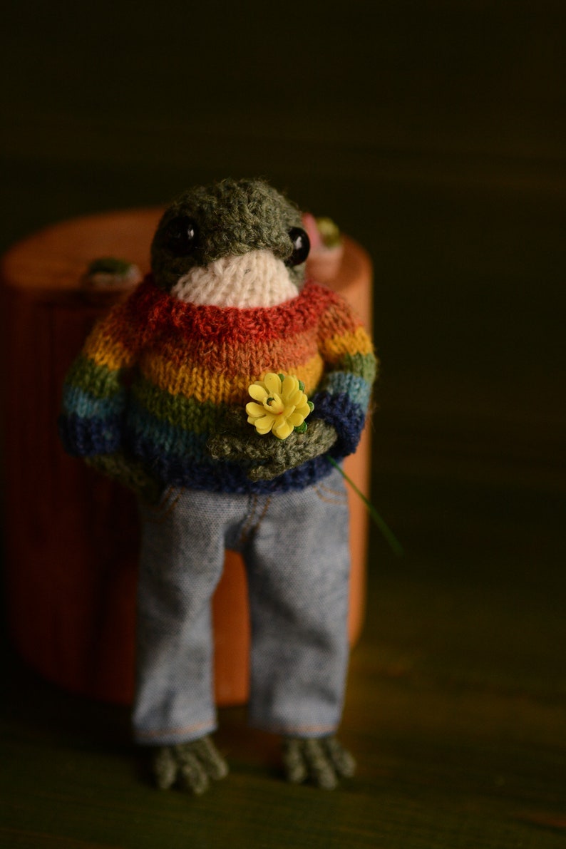 Knitted frog with a sweater and jeans. Famous frog from tik tok Made to order image 6