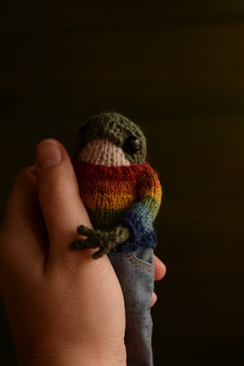 Knitted frog with a sweater and jeans. Famous frog from tik tok Made to order image 2