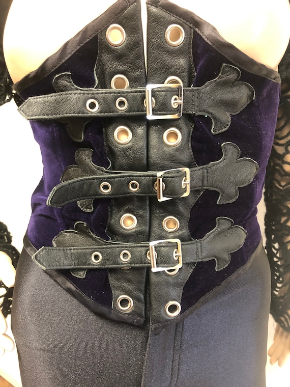 Dark Angel, Purple Velvet, Waspie Waist Cincher