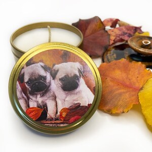 May include: A gold candle tin featuring a picture of two pug puppies on the front. The puppies are sitting on a bed of autumn leaves.