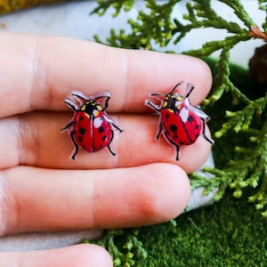 Boucles d'oreilles coccinelle dessinées à la main, bijoux insectes, résine et plastique rétractable, porte-bonheur, acier inoxydable