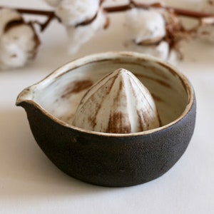 May include: A dark brown ceramic citrus juicer with a white, ridged reamer in the center. The juicer has a slightly textured surface.