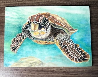 Sea Turtle