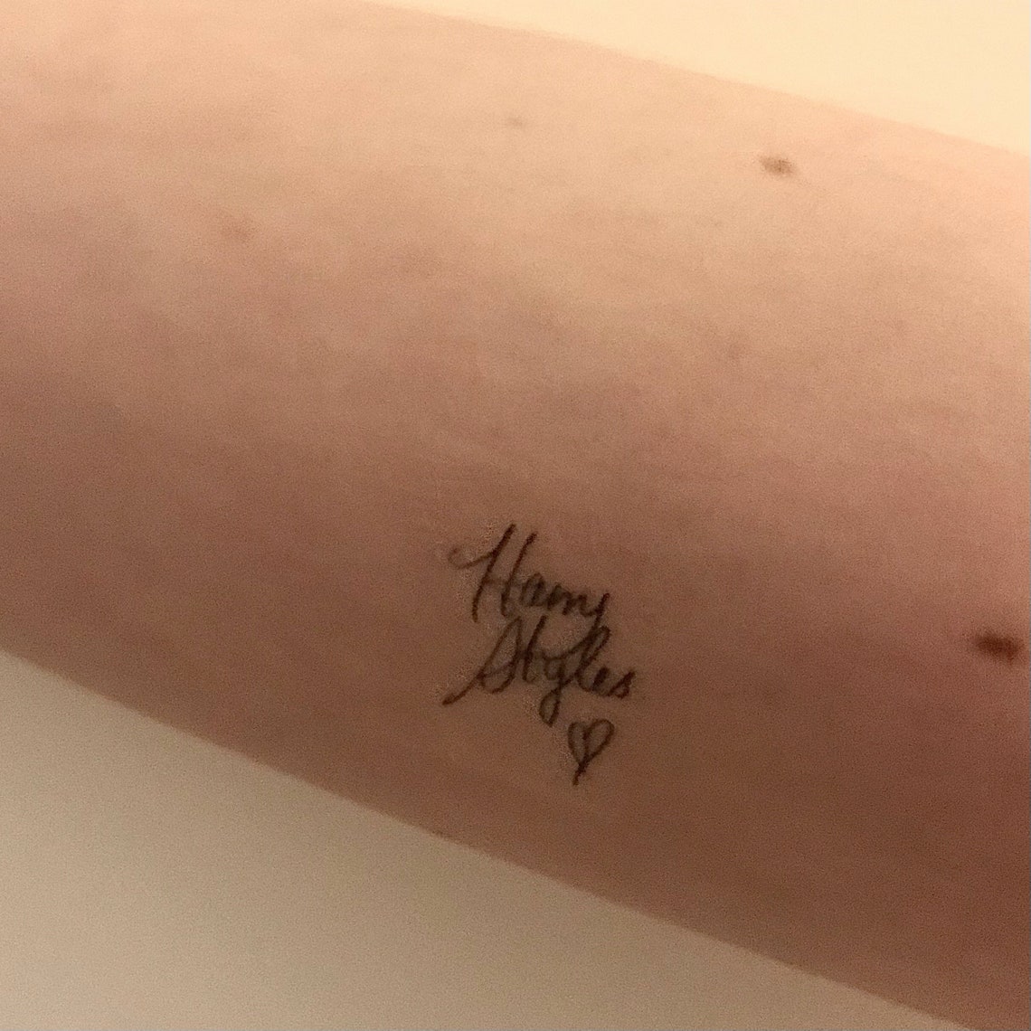 Harry Styles Temporary Tattoos fine Line Mixed Pack of 8 Etsy UK