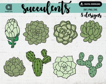 May include: Eight different succulent designs in green and white. The designs include a cactus, a rosette, and a spiky succulent.