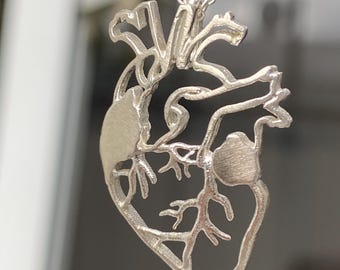Anatomical Heart Necklace, Sterling Silver Human Heart Pendant, Medical Jewelry Gift