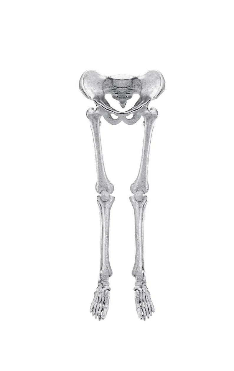 Skeleton Brooch - Handmade Medical Jewelry - Unique Design - Gothic ...
