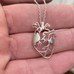 Sterling Silver Anatomical Heart Necklace: Medical Jewelry Gift