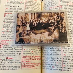 Saint Bernadette of Lourdes incorrupt holy card