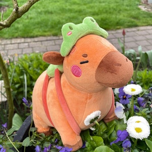 Froppy The Capybara Plush Limited Stuffed Toy Plushie Soft Toy Kawaii Fleece Capy Frog Plush Plush Toy image 2