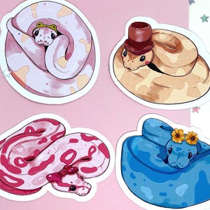 May include: Four snake stickers in various colours. One is pink and white with a frog hat, another is tan with a brown top hat, a third is red and white with a bow, and the last is blue with yellow flowers.