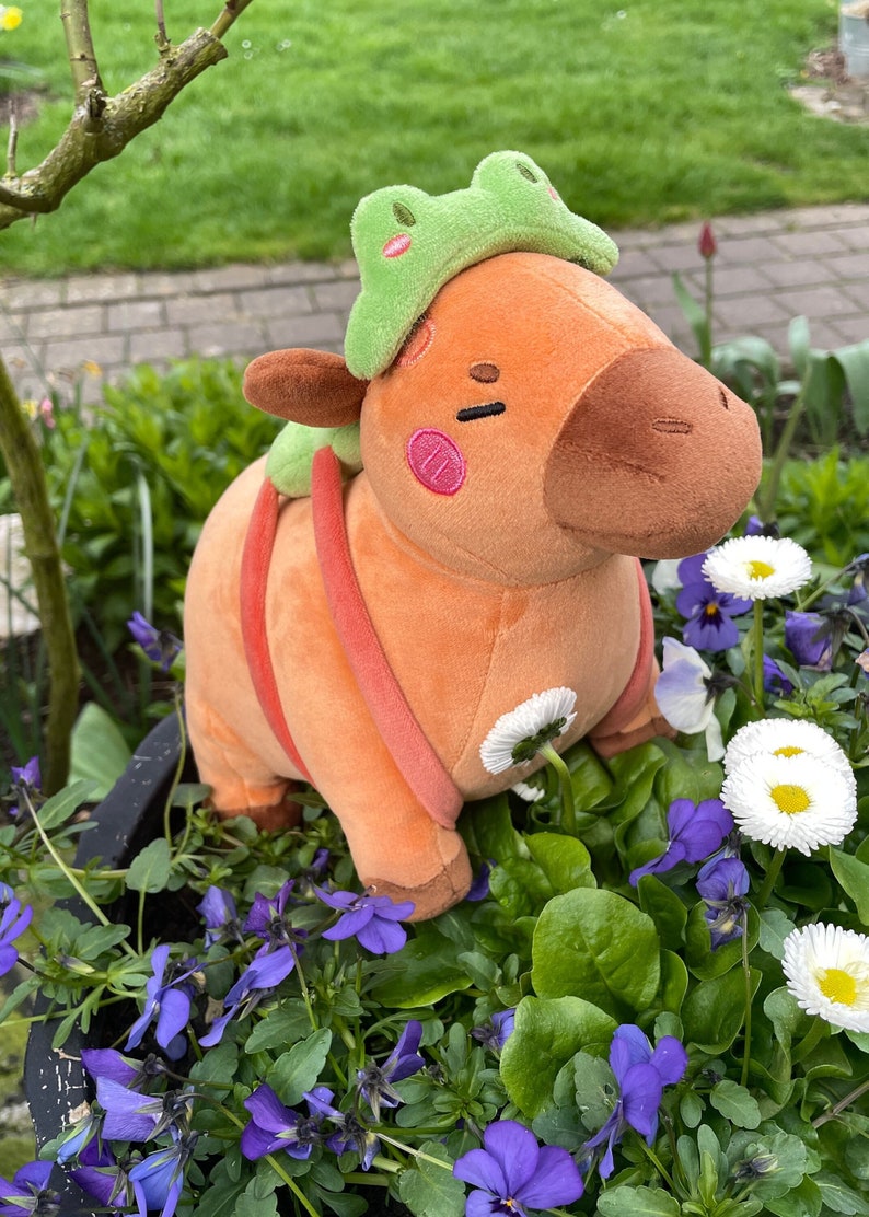 Froppy The Capybara Plush Limited Stuffed Toy Plushie Soft Toy Kawaii Fleece Capy Frog Plush Plush Toy image 2