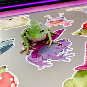 May include: A green tree frog sticker with a purple frog sticker on a laptop. The green frog is sitting on a purple surfboard sticker. The laptop is covered in other frog stickers.