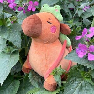 Froppy The Capybara Plush Limited Stuffed Toy Plushie Soft Toy Kawaii Fleece Capy Frog Plush Plush Toy image 1