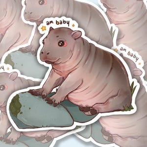 Am Baby Aufkleber | Hippo Aufkleber | Langlebige Aufkleber | Laptop Aufkleber | Vinyl Nilpferd Aufkleber | Aufkleber | Süßes Nilpferd Kalb Meme