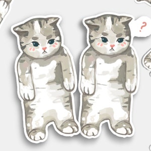 Confused Cat Stickers | Pack of 2 | Sticker Pack  | Laptop Sticker | Vinyl Sticker | Deco Stickers | Cute Sticker | Waterproof| Meme Sticker