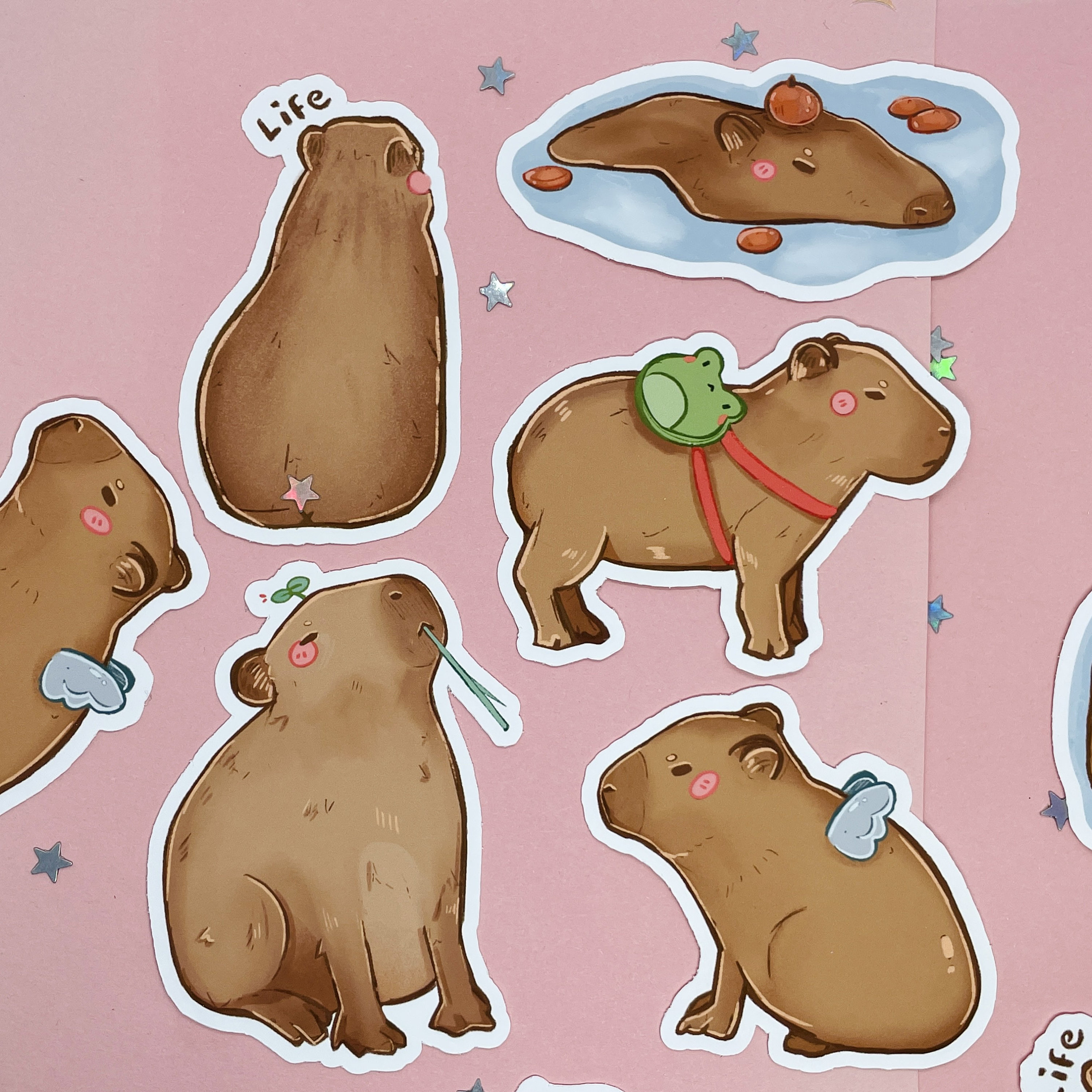 PET CAPYBARA ADESIVO Caricatura Adesivo Decorativo della Caricatura EUR
