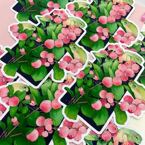 Puede incluir: Colecci&oacute;n de pegatinas con una rana verde posada entre bayas rosas y hojas verdes. Las pegatinas tienen un borde blanco y est&aacute;n colocadas sobre un fondo oscuro con un dise&ntilde;o geom&eacute;trico blanco.