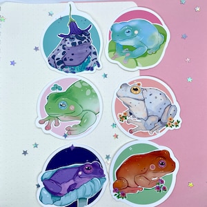 May include: Set of six frog stickers with different colored frogs and floral designs. The frogs are in various poses, including sitting, jumping, and swimming. The stickers are perfect for adding a touch of whimsy to your planner, laptop, or water bottle.