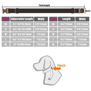 Pu&ograve; includere: Una tabella che mostra la lunghezza regolabile, la larghezza e la lunghezza di un collare per cani in pollici e centimetri. La tabella mostra anche la taglia del collare in XS, S, M, L e XL. Un diagramma mostra come misurare il collo di un cane per il collare.