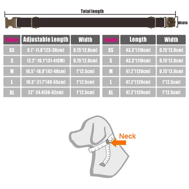 Pu&ograve; includere: Una tabella che mostra la lunghezza regolabile, la larghezza e la lunghezza di un collare per cani in pollici e centimetri. La tabella mostra anche la taglia del collare in XS, S, M, L e XL. Un diagramma mostra come misurare il collo di un cane per il collare.