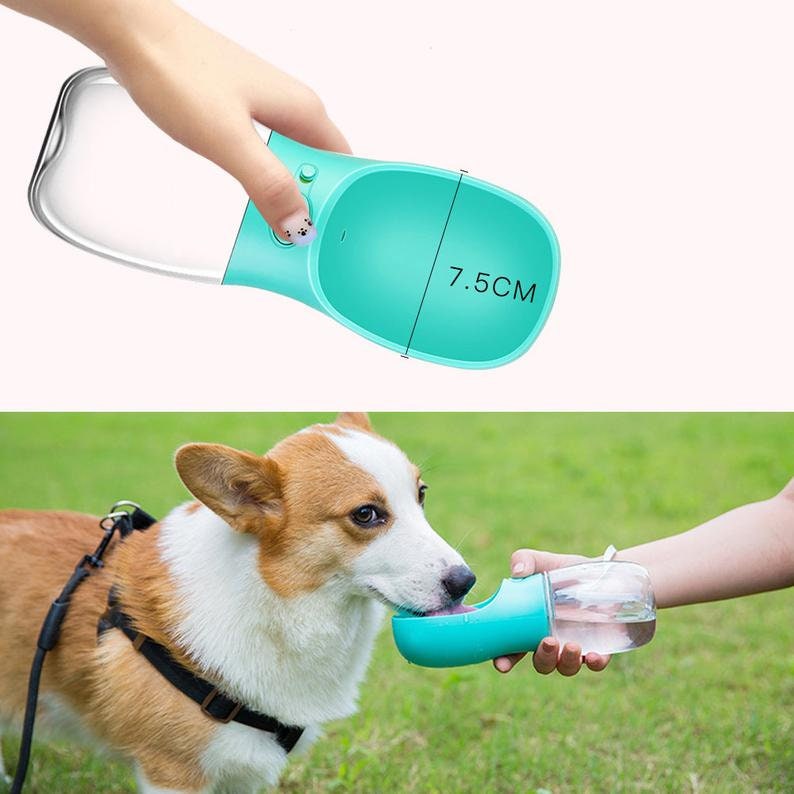 Hunde Trinkflasche für Unterwegs 350ml/ 550ml Hund Etsy