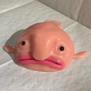 Painted Silicone Blobfish Stress Ball Squishy Toy