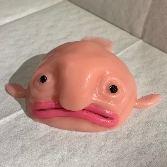 Painted Silicone Blobfish Stress Ball Squishy Toy | Etsy