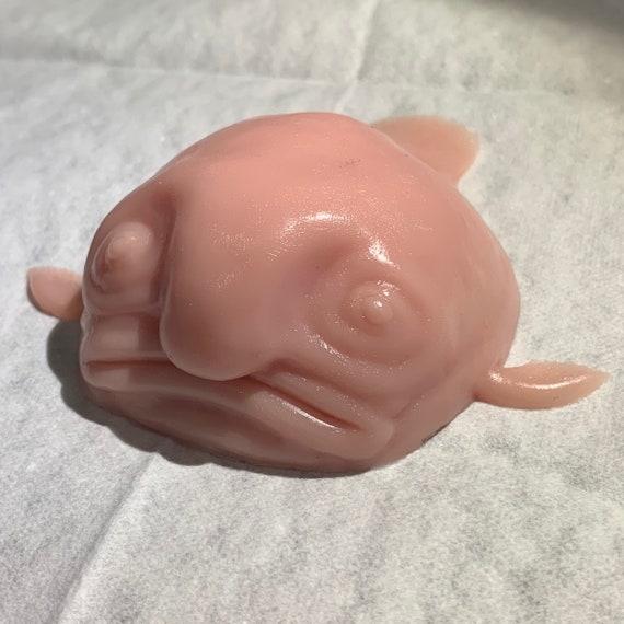 blobfish squishy toy
