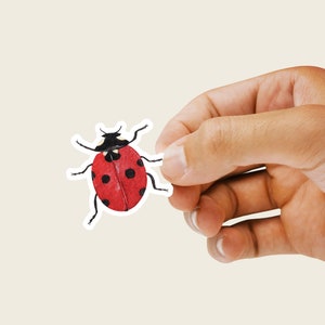 Watercolor Ladybug Sticker | Ladybug Vinyl Sticker | Ladybug Sticker | Bug Sticker | Water Bottle Sticker | Laptop Decal