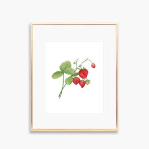 Strawberry Art Print | Watercolor Art | Watercolor Strawberry Art Print | Watercolor Strawberries | Botanical Artwork | Botanical Decor