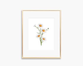 Daisy Art Print | Watercolor Art | Watercolor Daisy Art Print | Watercolor Daisies | Botanical Artwork | Floral Decor