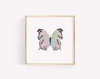 Mother of Pearl Butterfly Art Print